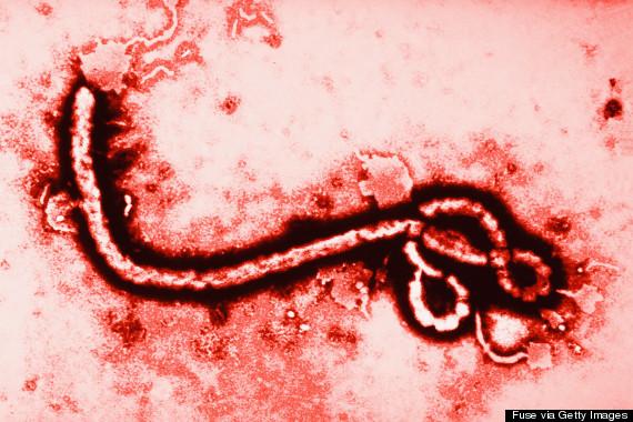 International Concerns of Ebola