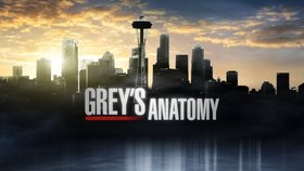 Greys Anatomy Season 12