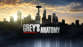 Grey's Anatomy Season 12