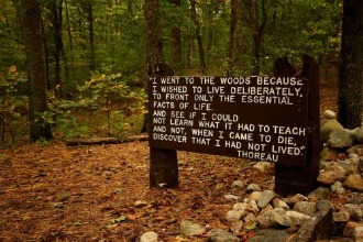 A Trip To Walden Pond