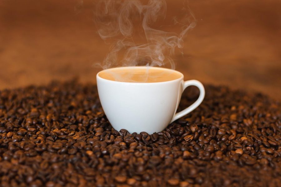 Could Climate Change Kill Coffee?