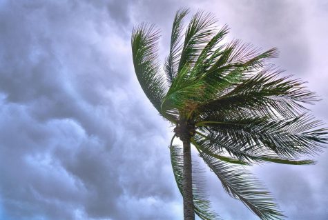 Tropical Storm Eta