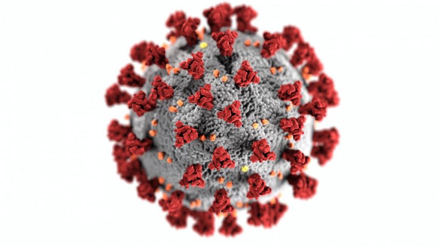 New Strain of Coronavirus makes its Way to the US