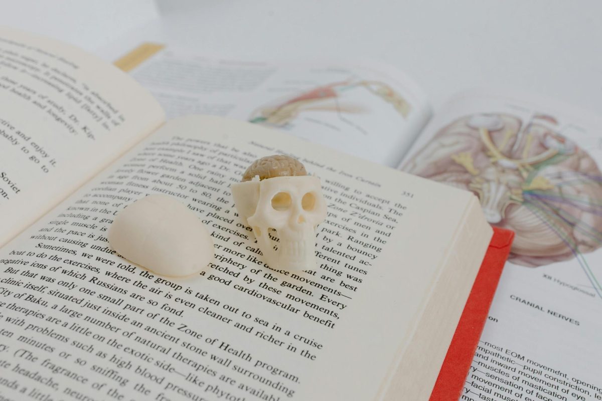 What Reading “Everything Is Tuberculosis” by John Green Taught Me About the World