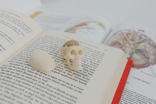 What Reading "Everything Is Tuberculosis" by John Green Taught Me About the World